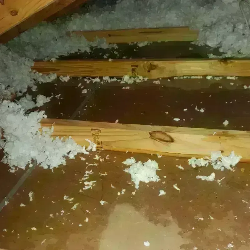 Attic Water Damage in Rushville, NE